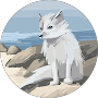 Dana Ewert Icon