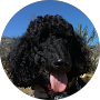 Jane-Jane Ferguson Icon